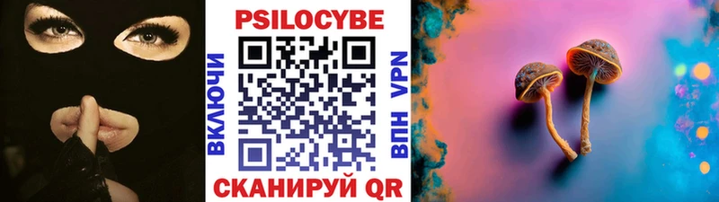 цены наркотик  Суворов  ссылка на мегу как войти  Псилоцибиновые грибы MAGIC MUSHROOMS 